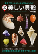 美しい貝殻 学研教育出版/奥谷喬司