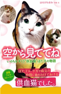 空から見ててね いのちをすくう“供血猫”ばた子の物語 写真・文:はせがわまみ