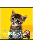 わさびちゃんちの一味ちゃん わさびちゃんファミリー