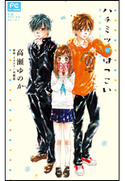 FCルルルnovels ハチミツにはつこい~ウィンターデイズ~ 高瀬ゆのか(著)/水瀬藍(原作・イラスト)