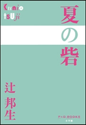 P+D BOOKS 夏の砦 辻邦生
