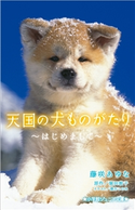 小学館ジュニア文庫 天国の犬ものがたり~はじめまして~ 藤咲あゆな(著)/堀田敦子(原作)/環方このみ(イラスト)
