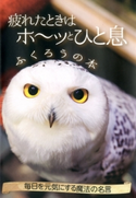 疲れたときはホ~ッとひと息 ふくろうの本 株式会社パブリカ