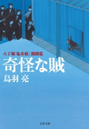 奇怪な賊 八丁堀「鬼彦組」激闘篇 鳥羽 亮