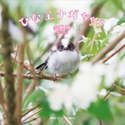 電子版特典付き ひなエナガちゃん 小原玲