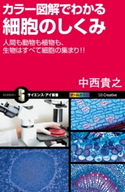 カラー図解でわかる細胞のしくみ 中西貴之