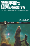 暗黒宇宙で銀河が生まれる 谷口義明