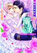 純情若奥様・ただしい新婚生活の溺れ方【イラスト付】 ひより/駒田ハチ