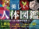 美しい人体図鑑 ミクロの目で見る細胞の世界 I 細胞 ──体をつくる最小の生命体 コリン・ソルター/奈良信雄/三村明子