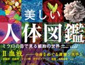 美しい人体図鑑 ミクロの目で見る細胞の世界 II 血液 ──全身をめぐる運搬システム コリン・ソルター/奈良信雄/三村明子