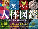 美しい人体図鑑 ミクロの目で見る細胞の世界 III 脳 ──脳と心の関係とは? コリン・ソルター/奈良信雄/三村明子