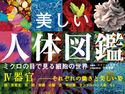 美しい人体図鑑 ミクロの目で見る細胞の世界 IV 器官 ──それぞれの働きと美しい姿 コリン・ソルター/奈良信雄/三村明子