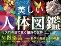 美しい人体図鑑 ミクロの目で見る細胞の世界 VI 医薬品 ──科学の発展とその軌跡 コリン・ソルター/奈良信雄/三村明子