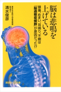 脳は悲鳴を上げている 頭痛、めまい、耳鳴り、不眠は「脳過敏症候群」が原因だった!? 清水 俊彦