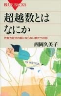 超越数とはなにか 代数方程式の解にならない数たちの話 西岡久美子