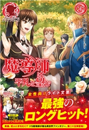 魔導師は平凡を望む 25 広瀬 煉/11(といち)