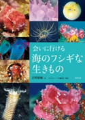 会いに行ける海のフシギな生きもの 吉野雄輔