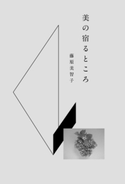 美の宿るところ【期間限定価格(「仕事」も「私」も整えるメンテ本フェア)】 藤原美智子