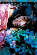 ツギハギ姫と波乗り王子 桜井亜美
