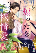エリート上司を煽ったら極情愛を教え込まれました 望月沙菜/北沢きょう