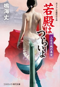 若殿はつらいよ 三日月城の美女 鳴海 丈