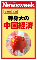 等身大の中国経済(ニューズウィーク日本版e-新書No.28) ニューズウィーク日本版編集部(編者)