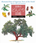 世界のどんぐり図鑑 徳永桂子 著/原正利 解説