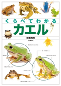 くらべてわかるカエル 松橋 利光