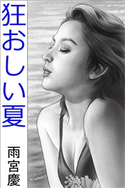 狂おしい夏 雨宮慶(著)/小嶋保(イラスト)