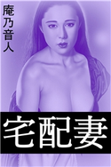 宅配妻 庵乃音人(著)/中村成二(イラスト)