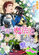 見習い魔法士はカタブツ騎士と繋がりたい(※性的に) 長野雪/深山キリ