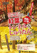 東海ウォーカー特別編集 紅葉のトンネル&じゅうたん感動の45景 著者:TokaiWalker編集部