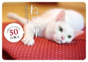 ねこ禅 人生がふニャっとなごむ50の教え 監修:菅原 研州/写真撮影:五十嵐健太