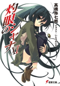 灼眼のシャナXI 著者:高橋弥七郎/イラスト:いとうのいぢ