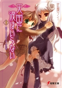 天国に涙はいらない(10) 妹兄山腐女子庭訓 著者:佐藤 ケイ/イラスト:さがの あおい