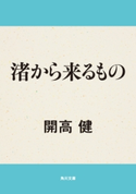 渚から来るもの 著者:開高 健