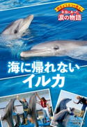野生どうぶつを救え! 本当にあった涙の物語 海に帰れないイルカ 著者:ジニー・ジョンソン/訳者:嶋田 香