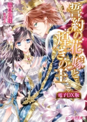 誓約の花嫁と煌きの王 電子DX版 著者:悠木 美羽/イラスト:椎名 咲月