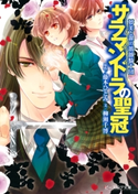 夢美と銀の薔薇騎士団 サラマンドラの聖冠 原作:藤本 ひとみ/文:柳瀬 千博/イラスト:えとう 綺羅