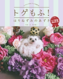 トゲもふ! はりねずみのあずき LIFE【期間限定価格(ニコニコカドカワ祭り2020 第2弾)】 写真・文:角田 修一