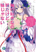 俺が好きなのは妹だけど妹じゃない 11 著者:恵比須 清司/イラスト:ぎん太郎